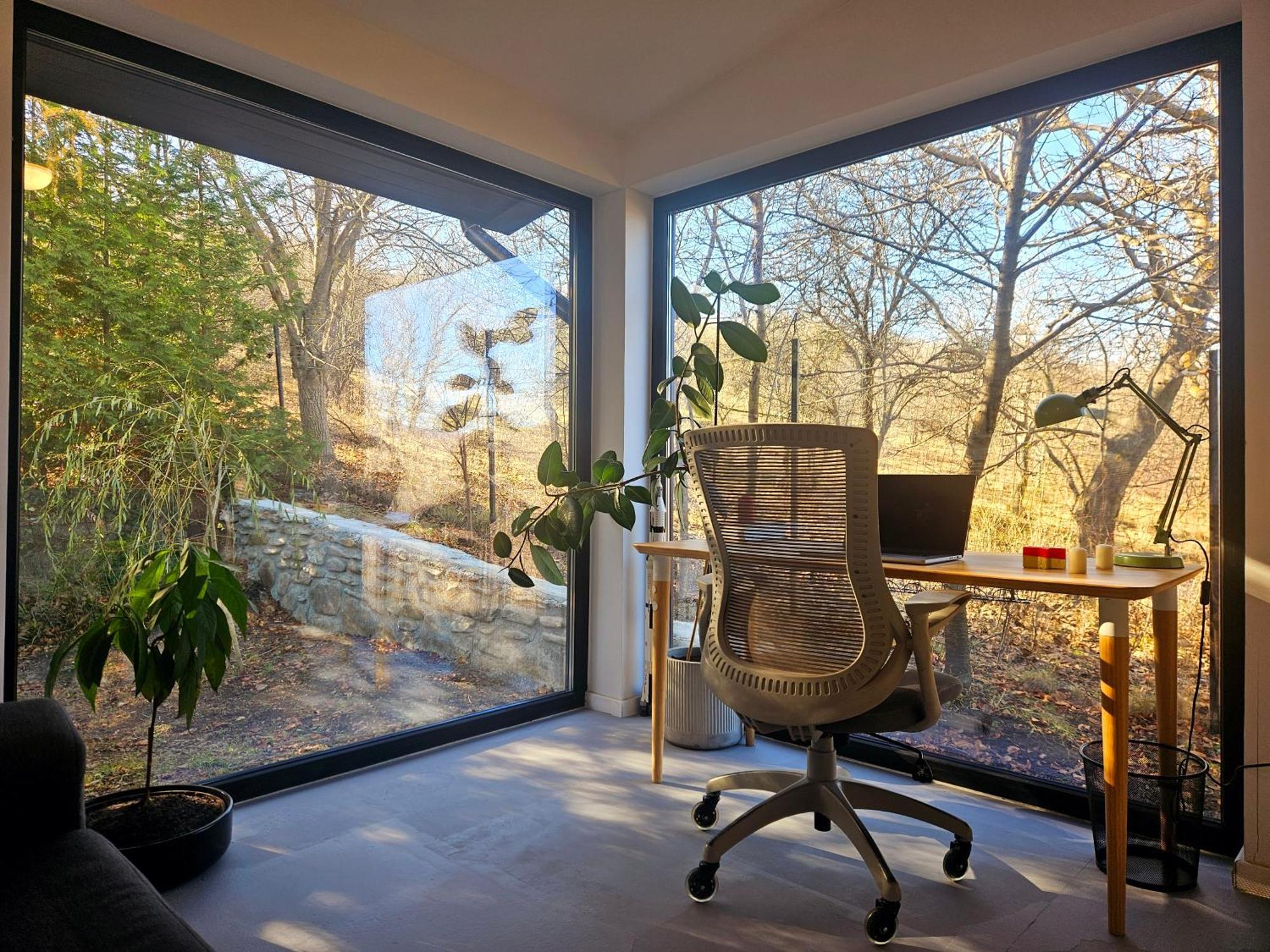 Black Walnut House With Indoor Outdoor Fireplace Izvoarele  Exteriör bild