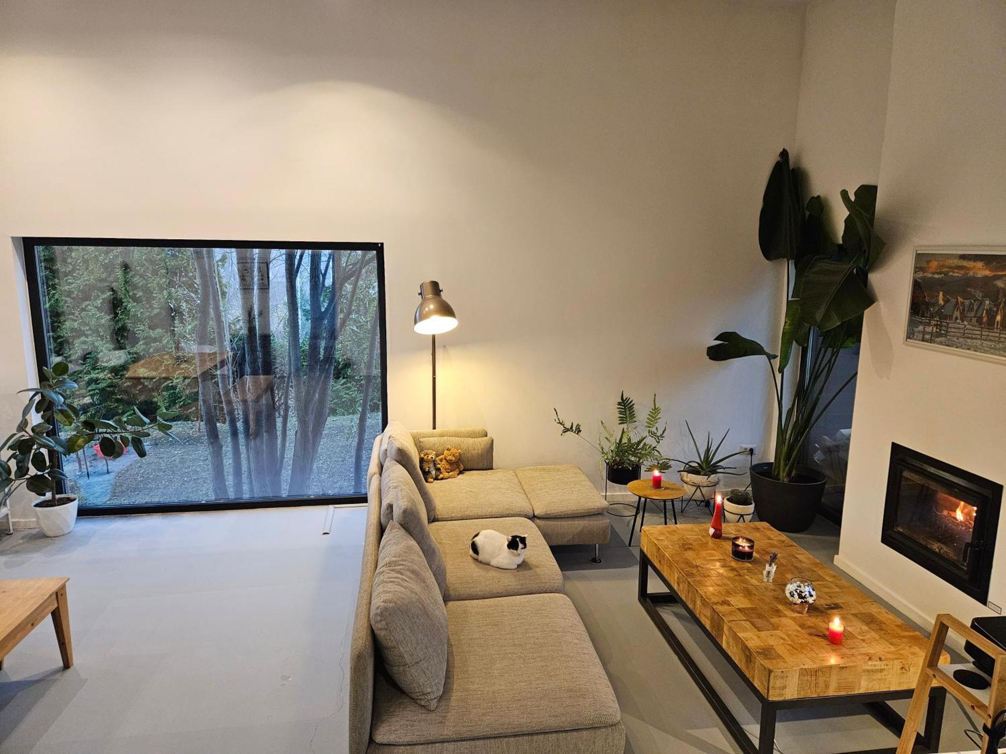 Black Walnut House With Indoor Outdoor Fireplace Izvoarele  Exteriör bild