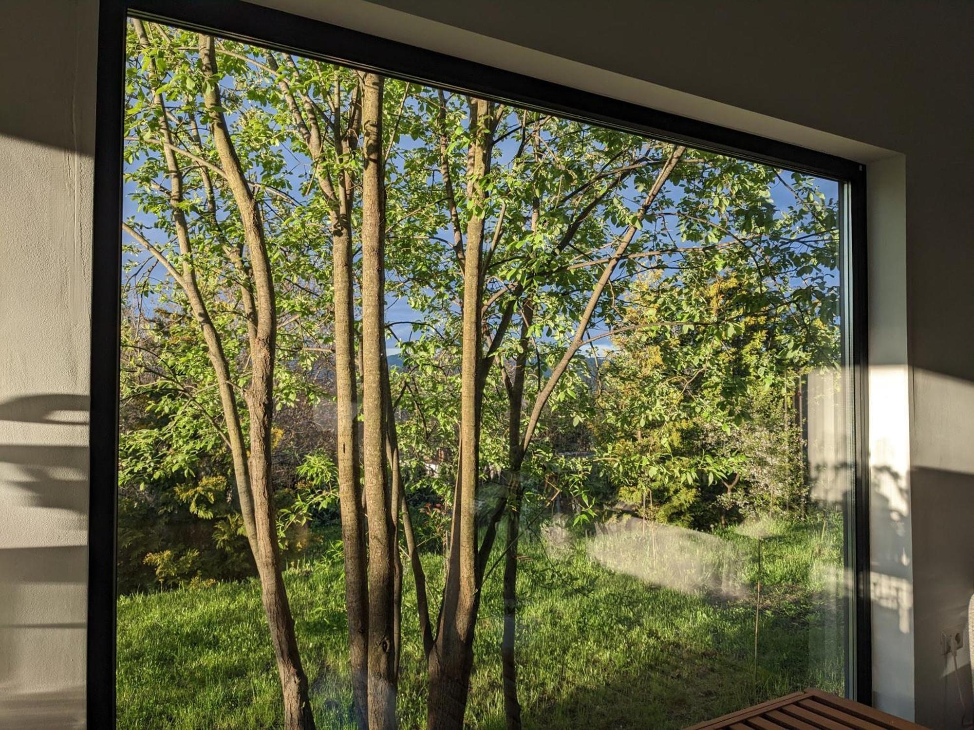 Black Walnut House With Indoor Outdoor Fireplace Izvoarele  Exteriör bild