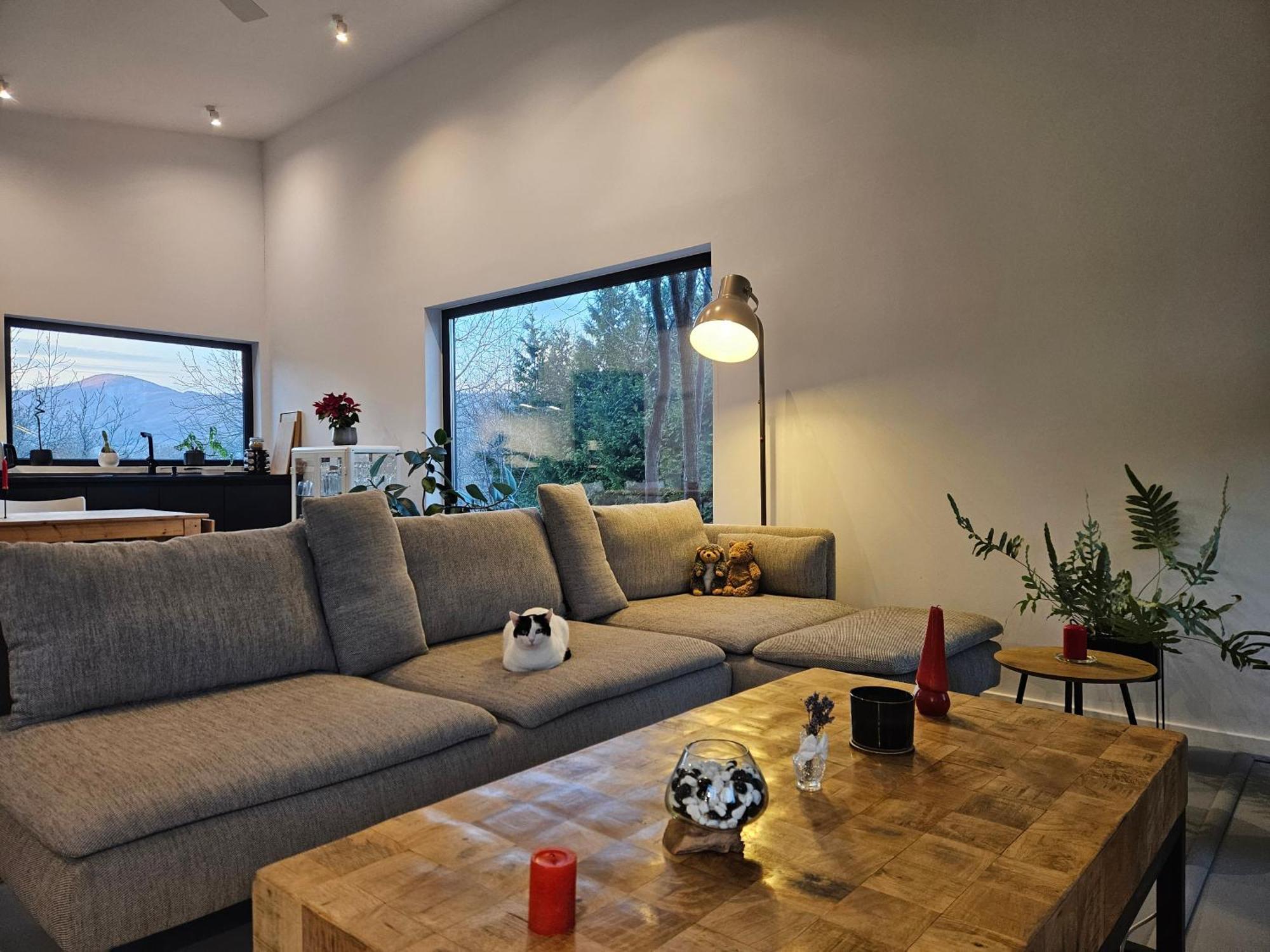 Black Walnut House With Indoor Outdoor Fireplace Izvoarele  Exteriör bild
