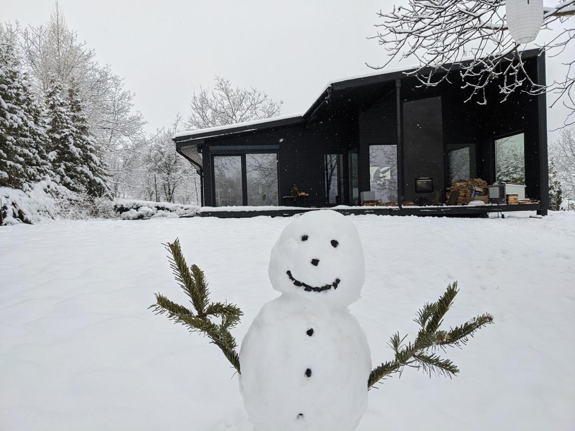Black Walnut House With Indoor Outdoor Fireplace Izvoarele  Exteriör bild